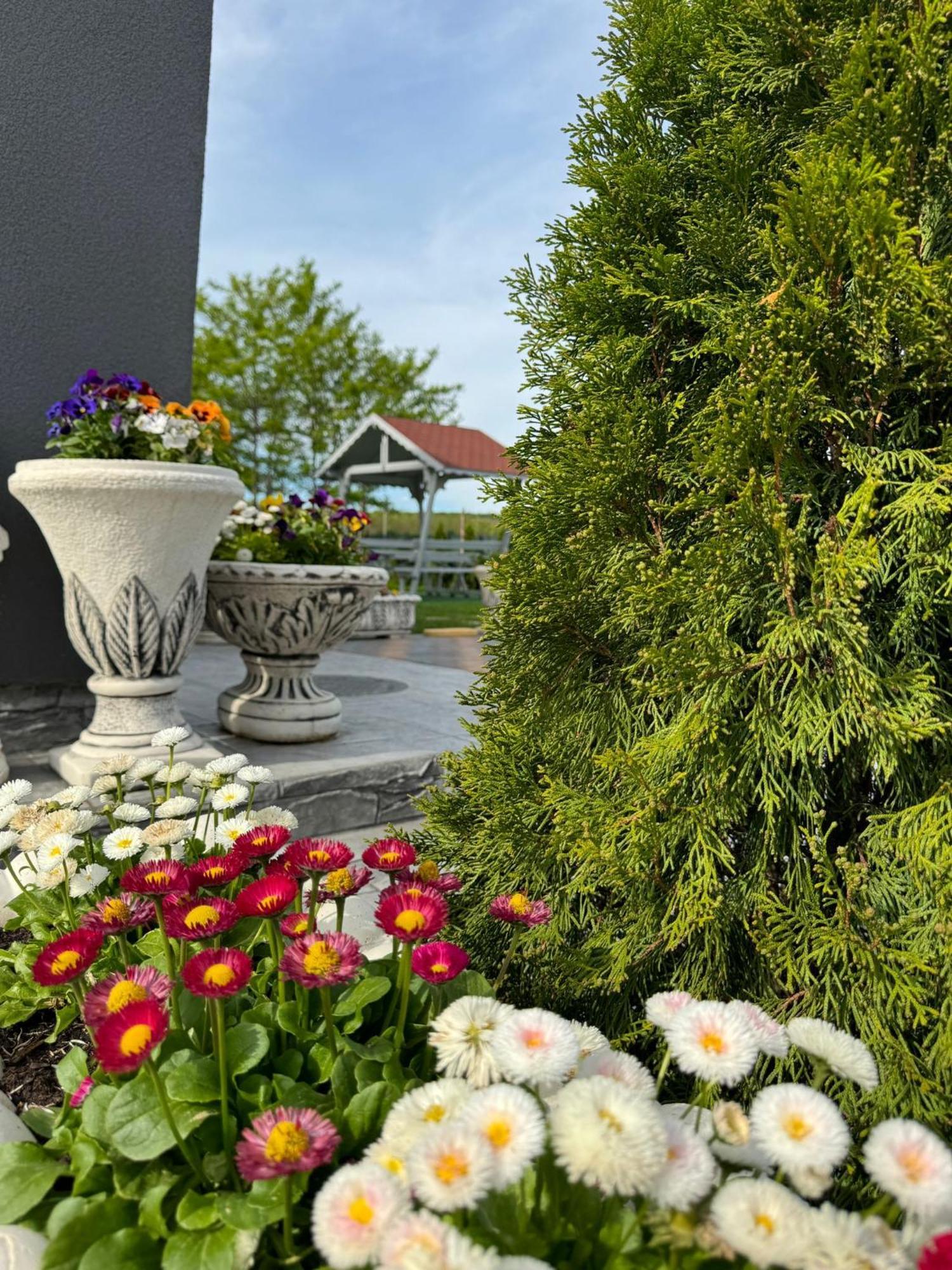 Stef Rooms Tirgu Frumos Exterior photo